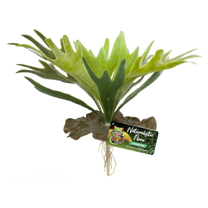 ZooMed Naturalistic Flora, Staghorn Fern