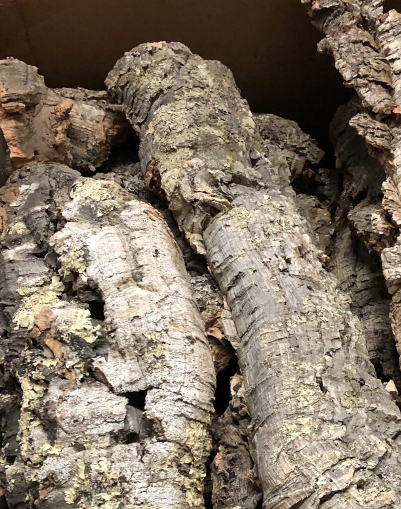 coral wedges for wedding