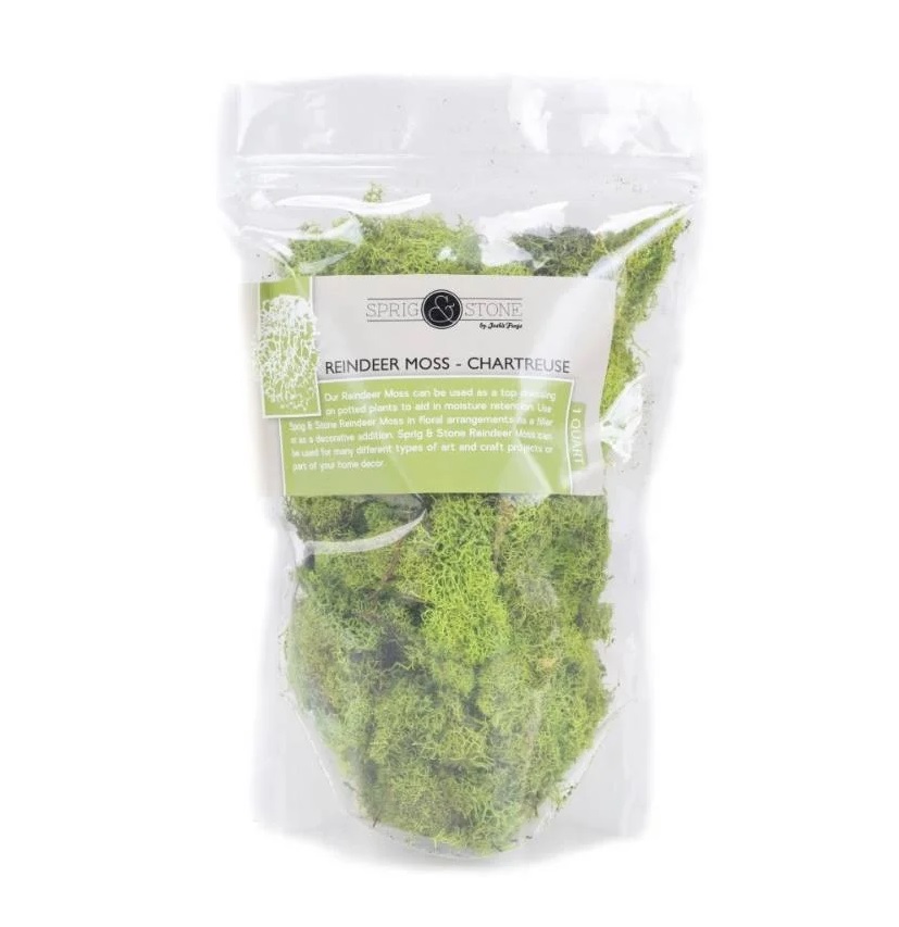 Josh's Frogs Chartreuse Reindeer Moss, 1 Quart